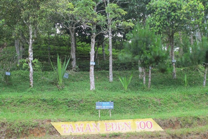 Kisah Cinta Terlarang & Tongkat Pertama Kerajaan Batak