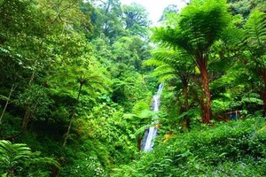 Serahkencong, Air Terjun Perawan dari Blitar
