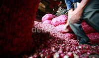 Kepala BPS Suryamin menuturkan, bawang merah memiliki andil inflasi sebesar 0,06% dengan naiknya harga secara rata-rata sebesar 9,75%.