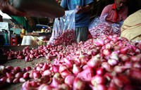 Kenaikan harga bawang mereka sendiri disebabkan oleh kurangnya pasokan terhadap kebutuhan.