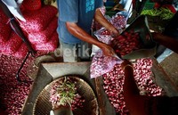 Badan Pusat Statistik (BPS) mengumumkan laju inflasi di November 2013 adalah sebesar 0,12%.
