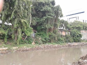 Percaya Nggak Percaya! Ada Cerita Mistis di Balik Revitalisasi Kali Ciliwung