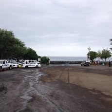 Pria AS Tewas Digigit Hiu Saat Memancing di Laut