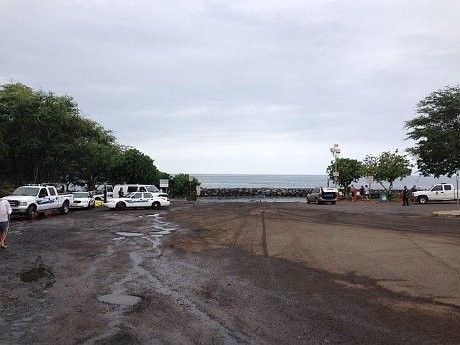 Pria AS Tewas Digigit Hiu Saat Memancing di Laut