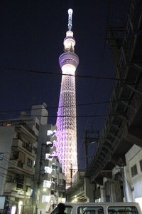 Tokyo Skytree berada di pusat Kota Tokyo. Menara ini jadi salah satu objek wisata yang harus Anda datangi saat melancong ke Tokyo. Dari kejauhan saja, menara ini terlihat cantik bermandikan cahaya lampu (Ikhsan/detikTravel)