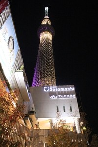 Guiness World Records mencatat Tokyo Skytree sebagai menara paling tinggi di dunia. Ketinggiannya mencapai 643 meter dan mengalahkan menara Canton dari Guangzhou yang tingginya 600 meter (Ikhsan/detikTravel)