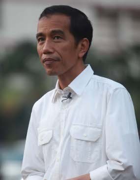 Jokowi Segera Sulap Rawa Babon Jadi Waduk Jokowi Segera Sulap Rawa Babon Jadi Waduk