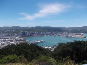 Maskapai Indonesia Perlu Terobos Wellington-Jakarta
