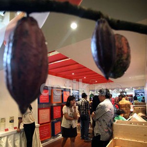 Perusahaan AS Bangun Pabrik Cokelat di Gresik Rp 1 Triliun