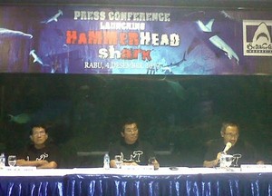 Hiu Martil, Pendatang Baru di SeaWorld Indonesia