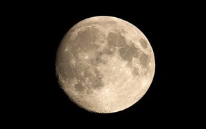 NASA Kembangkan Teknologi Bertanam di Luar Angkasa