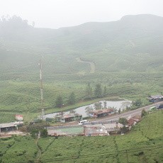 Kisah Wilayah Cisarua yang Jadi Tempat Favorit Imigran Gelap
