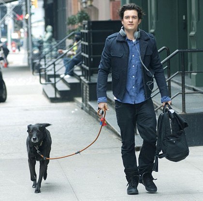 Ketika ditanyakan langsung kepada manajemen Orlando Bloom, representatifnya berkata: Tidak ada yang benar dari hal ini. Orlando pun saat ditangkap paparazi kemarin, Rabu (4/12/2013), ia berjalan sendiri ditemani anjing peliharaannya menyusuri kota New York.