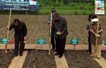 SBY Tanam Jagung di Pamekasan