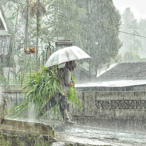 Foto Human Interest Jadi Jawara Kontes FotoStop Hujan