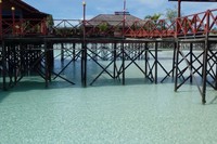 Kita dapat melihat ikan dari atas jembatan kayu ini. Penginapan di Maratua Paradise memasang biaya Rp 650 ribu per kepala untuk water villa dan Rp 550 ribu untuk pantai (Astrid/detikTrave