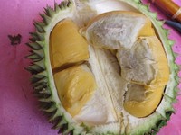 Traveler yang doyan makan durian, rasanya wajib datang ke Empat Lawang. Sebabnya, di sana terdapat durian tembaga yang khas dengan daging buahnya yang berwarna kuning, tebal, dan rasanya manis! (Afif/detikTravel)