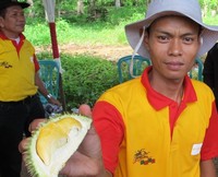 Menurut masyarakat Empat Lawang, musim durian tembaga adalah saat bulan November-Desember. Anda bisa membelinya di pasar atau juga banyak pedagang di sana yang menjajakannya di pinggir jalan (Afif/detikTravel)