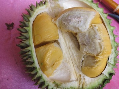 Durian Tembaga dari Sumsel, Kuning & Rasanya Manis!