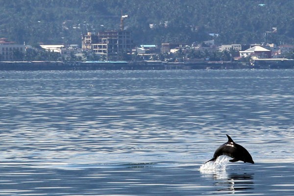 Begini Cara Asyik Menikmati Bunaken
