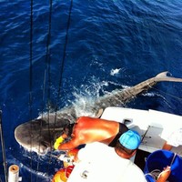 Kecintaannya pada laut dan alam pun sempat menggiring Paul untuk mendalami lingkungan lebih dalam. Pada 2010, ia sempat terlibat dalam penelitian kehidupan Paus Putih bersama National Geographic. Facebook.