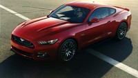 Di Eropa sendiri Mustang baru kali ini resmi dijual setelah 50 tahun kelahirannya.