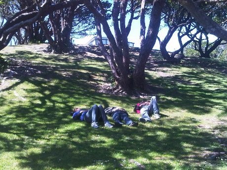 Menjajal Cable Car Ikon Wellington