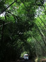 Desa Penglipuran, Andai Semua Desa Indonesia Seperti Ini