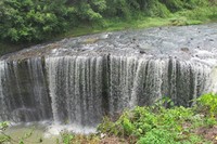 Aliran air terjun Temam berasal dari Sungai Temam. Sungainya masih bebas dari sampah dan airnya terasa segar (Afif/detikTravel)