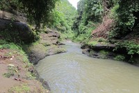 Aliran Air Terjun Temam mengalir lagi ke sungai dan membelah hutan. Saat waktu liburan, sungai di sana jadi tempat berenang untuk wisatawan (Afif/detikTravel)