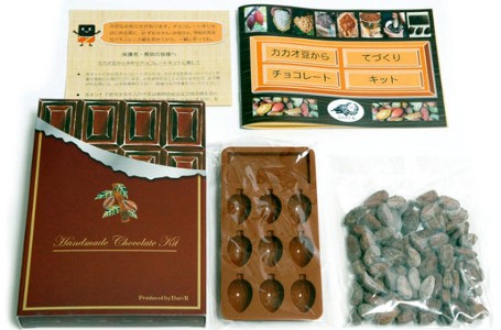 Sekarang Biji Kakao sampai Cokelat Batangan Bisa Dibuat Sendiri di Rumah!