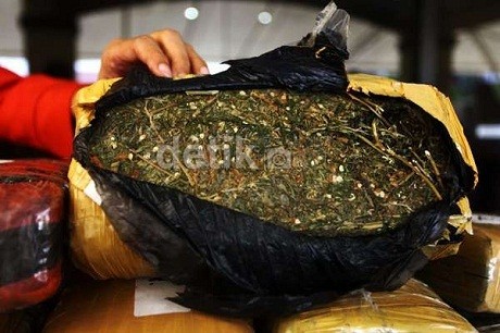 Jadi Pengedar Ganja 1 Ton, Ibu dan Anak Ini Terancam 20 Tahun Penjara