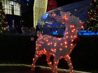 Lampu warna-warni menghiasi tiap dekorasi Natal, termasuk patung rusa kutub di depan ION Orchard. Banyak tempat untuk turis berfoto! (Sastri/ detikTravel)