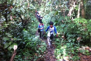 Yuk, Blusukan ke Taman Nasional Kutai