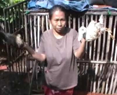 Ribuan Bebek Bantuan Pemprov Jatim Mati Mendadak