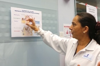 Mengintip Cara Kerja Para Peneliti di Pusat Penelitian Susu Formula