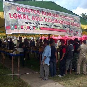 Kontes Durian Digelar, Penonton Bisa Cicip Gratis