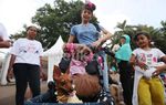 Anjing dan Kucing Meriahkan Kontes ExtraPAWganza