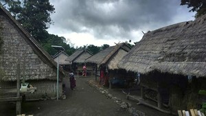 Tebang Pohon di Desa Ini Didenda Kambing dan Beras Satu Kuintal