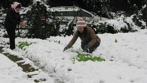 Hujan Salju Aneh Muncul di Vietnam, Mungkinkah Terjadi di Indonesia?