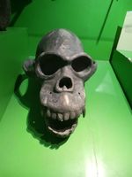 Kerennya Museum Satwa Jatim Park 2