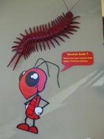 Kerennya Museum Satwa Jatim Park 2