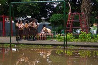 Sejumlah siswa SD memanfaatkan ruang terbuka hijau untuk belajar di Taman Amir Hamzah, Pegangsaan, Jakarta, Rabu (18/12/2013).