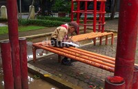 Targetnya, pada 2030 nanti direncanakan RTH bertambah 6 persen menjadi 16 persen dari luas wilayah.