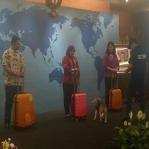 Bea Cukai Pamer Anjing Pintar Pemburu Barang Terlarang
