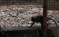 Seluruh permukaan air tampah tertutup sampah.