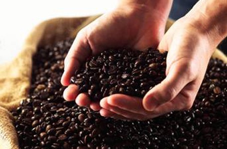 5 Kado Natal Spesial untuk Pecinta Kopi