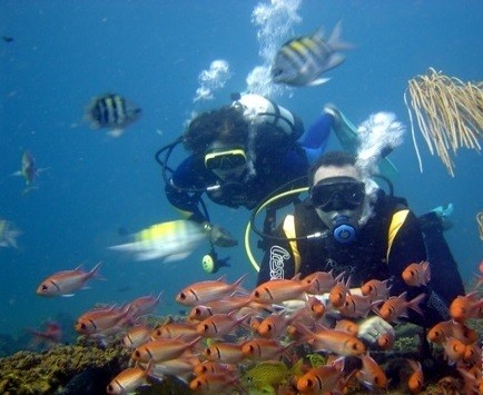 Ingin Menyelam? Siapkan Duit Sebanyak Ini
