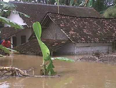 Banjir Setinggi 3 Meter, Warga di Jember Terus Dievakuasi