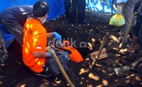 Dari olah TKP tersebut, polisi menemukan salah satu makam milik jasad Dira sudah tidak utuh. Sementara satu makam lainnya milik Daffa jasadnya masih utuh.